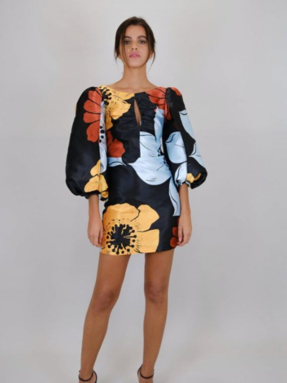 Laagam Liza Fleur Puff Sleeve Dress